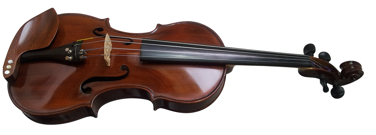 Violina 1